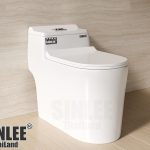 BAN CAU SINLEE 06 12