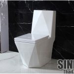 BAN CAU SINLEE 09