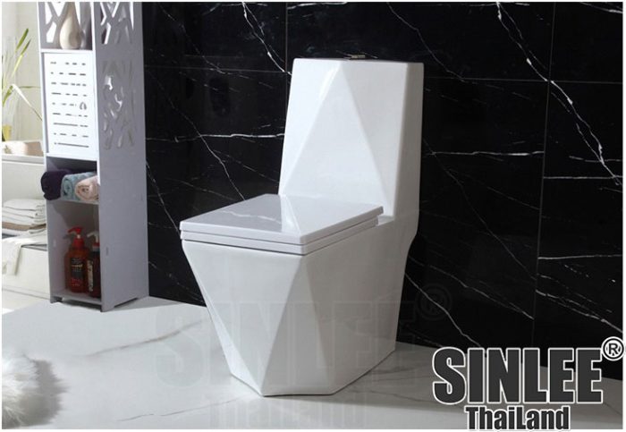 BAN CAU SINLEE 09